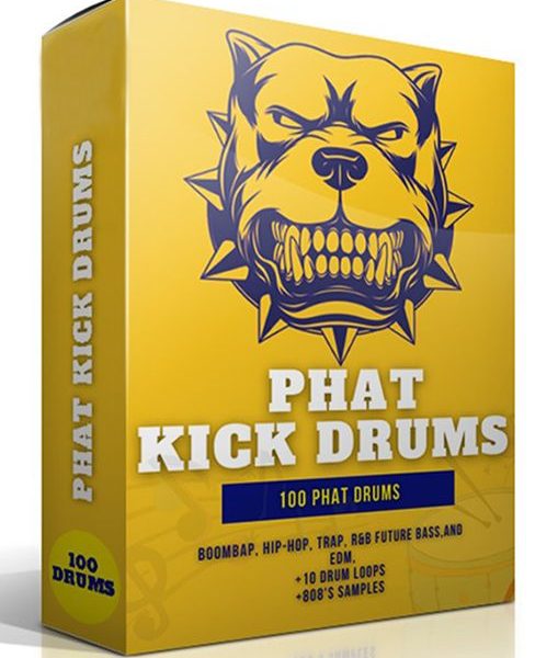 Phat Kick Drums